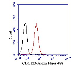 Flow cytometric analysis of CDC123 was done on F9 cells. The cells were fixed, permeabilized and stained with the primary antibody (bsm-54706R, 1/50) (red). After incubation of the primary antibody at room temperature for an hour, the cells were stained with a Alexa Fluor 488-conjugated Goat anti-Rabbit IgG Secondary antibody at 1/1000 dilution for 30 minutes.Unlabelled sample was used as a control (cells without incubation with primary antibody; black).