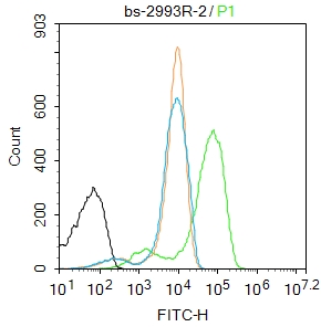 Jurkat cells were fixed with 4% PFA for 10min at room temperature,permeabilized with for 20 min at room temperature, and incubated in 5% BSA blocking buffer for 30 min at room temperature. Cells were then stained with IRF3 Antibody(bs-2993R)at 1:50 dilution in blocking buffer and incubated for 30 min at room temperature, washed twice with 2%BSA in PBS, followed by secondary antibody incubation for 40 min at room temperature. Acquisitions of 20,000 events were performed. Cells stained with primary antibody (green), and isotype control (orange).
