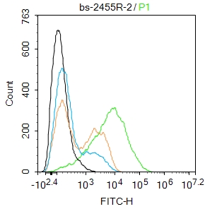 THP-1 cells were incubated in 5% BSA blocking buffer for 30 min at room temperature. Cells were then stained with Beta Glucan Receptor Polyclonal Antibody(bs-2455R)at 1:50 dilution in blocking buffer and incubated for 30 min at room temperature, washed twice with 2%BSA in PBS, followed by secondary antibody incubation for 40 min at room temperature. Acquisitions of 20,000 events were performed. Cells stained with primary antibody (green), and isotype control (orange).