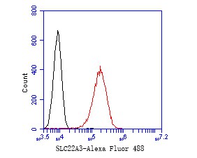 A549 cells were fixed with 4% PFA for 10min at room temperature,permeabilized with for 20 min at room temperature, and incubated in 5% BSA blocking buffer for 30 min at room temperature. Cells were then stained with SLC22A3 Monoclonal Antibody(bsm- R)at 1:50 dilution in blocking buffer and incubated for 30 min at room temperature, washed twice with 2%BSA in PBS, followed by secondary antibody incubation for 40 min at room temperature. Acquisitions of 20,000 events were performed. Cells stained with primary antibody (green).