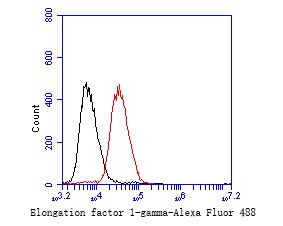 Daudi cells were fixed with 4% PFA for 10min at room temperature,permeabilized with for 20 min at room temperature, and incubated in 5% BSA blocking buffer for 30 min at room temperature. Cells were then stained with Elongation factor 1-gamma Monoclonal Antibody(bsm-54719R)at 1:50 dilution in blocking buffer and incubated for 30 min at room temperature, washed twice with 2%BSA in PBS, followed by secondary antibody incubation for 40 min at room temperature. Acquisitions of 20,000 events were performed. Cells stained with primary antibody (green).