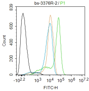 THP-1 cells were fixed with 4% PFA for 10min at room temperature,permeabilized with PBST for 20 min at room temperature, and incubated in 5% BSA blocking buffer for 30 min at room temperature. Cells were then stained with c-Raf(Ser296) Polyclonal Antibody(bs-3376R)at 1:100 dilution in blocking buffer and incubated for 30 min at room temperature, washed twice with 2%BSA in PBS, followed by secondary antibody incubation for 40 min at room temperature. Acquisitions of 20,000 events were performed. Cells stained with primary antibody (green), and isotype control (orange).