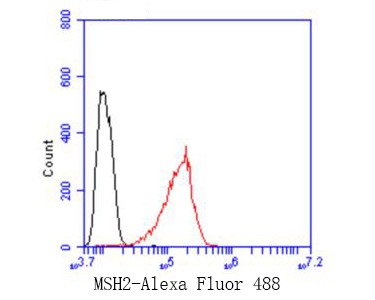 Hela cells were fixed,permeabilized and incubated in 5% BSA blocking buffer for 30 min at room temperature. Cells were then stained with MSH2 Monoclonal Antibody(bsm-54721R)at 1:50 dilution in blocking buffer and incubated for 30 min at room temperature, washed twice with 2%BSA in PBS, followed by secondary antibody incubation for 40 min at room temperature. Acquisitions of 20,000 events were performed. Cells stained with primary antibody (red).