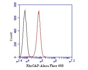 Siha cells were fixed,permeabilized and incubated in 5% BSA blocking buffer for 30 min at room temperature. Cells were then stained with RhoGAP Monoclonal Antibody(bsm-54725R)at 1:50 dilution in blocking buffer and incubated for 30 min at room temperature, washed twice with 2%BSA in PBS, followed by secondary antibody incubation for 40 min at room temperature. Acquisitions of 20,000 events were performed. Cells stained with primary antibody (red).