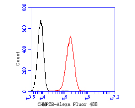 A549 cells were fixed,permeabilized and incubated in 5% BSA blocking buffer for 30 min at room temperature. Cells were then stained with CHMP2B Monoclonal Antibody(bsm-54727R)at 1:50 dilution in blocking buffer and incubated for 30 min at room temperature, washed twice with 2%BSA in PBS, followed by secondary antibody incubation for 40 min at room temperature. Acquisitions of 20,000 events were performed. Cells stained with primary antibody (red).