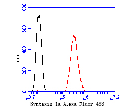 SH-SY5Y cells were fixed,permeabilized and incubated in 5% BSA blocking buffer for 30 min at room temperature. Cells were then stained with Syntaxin 1a Monoclonal Antibody(bsm-54728R)at 1:50 dilution in blocking buffer and incubated for 30 min at room temperature, washed twice with 2%BSA in PBS, followed by secondary antibody incubation for 40 min at room temperature. Acquisitions of 20,000 events were performed. Cells stained with primary antibody (red).