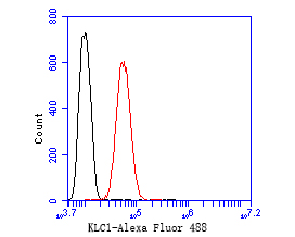SH-SY5Y cells were fixed,permeabilized and incubated in 5% BSA blocking buffer for 30 min at room temperature. Cells were then stained with KLC1 Monoclonal Antibody(bsm-54732R)at 1:50 dilution in blocking buffer and incubated for 30 min at room temperature, washed twice with 2%BSA in PBS, followed by secondary antibody incubation for 40 min at room temperature. Acquisitions of 20,000 events were performed. Cells stained with primary antibody (red).