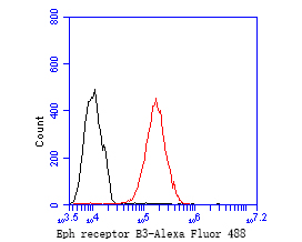 MCF-7 cells were fixed,permeabilized and incubated in 5% BSA blocking buffer for 30 min at room temperature. Cells were then stained with Eph receptor B3 Monoclonal Antibody(bsm-54738R)at 1:50 dilution in blocking buffer and incubated for 30 min at room temperature, washed twice with 2%BSA in PBS, followed by secondary antibody incubation for 40 min at room temperature. Acquisitions of 20,000 events were performed. Cells stained with primary antibody (red).