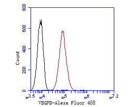 A549 cell;4% Paraformaldehyde-fixed; Triton X-100 at room temperature for 20 min; Blocking buffer (normal goat serum, C-0005) at 37°C for 20 min; Antibody incubation with (VEGFD) monoclonal Antibody, Unconjugated (bsm-54739R) 1:50, 90 minutes at 37°C; followed by a conjugated Goat Anti-Rabbit IgG antibody at 37°C for 90 minutes, DAPI (blue, C02-04002) was used to stain the cell nuclei.