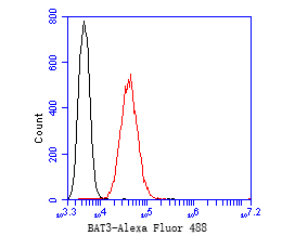 SW620 cells were fixed,permeabilized and incubated in 5% BSA blocking buffer for 30 min at room temperature. Cells were then stained with BAT3 Monoclonal Antibody(bsm-54744R)at 1:50 dilution in blocking buffer and incubated for 30 min at room temperature, washed twice with 2%BSA in PBS, followed by secondary antibody incubation for 40 min at room temperature. Acquisitions of 20,000 events were performed. Cells stained with primary antibody (red).