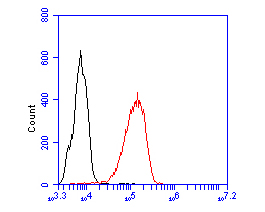 THP-1 cells were fixed,permeabilized and incubated in 5% BSA blocking buffer for 30 min at room temperature. Cells were then stained with PEX19 Monoclonal Antibody(bsm-54745R)at 1:50 dilution in blocking buffer and incubated for 30 min at room temperature, washed twice with 2%BSA in PBS, followed by secondary antibody incubation for 40 min at room temperature. Acquisitions of 20,000 events were performed. Cells stained with primary antibody (red).