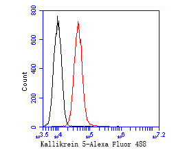 A431 cells were fixed,permeabilized and incubated in 5% BSA blocking buffer for 30 min at room temperature. Cells were then stained with Kallikrein 5 Monoclonal Antibody(bsm-54746R)at 1:50 dilution in blocking buffer and incubated for 30 min at room temperature, washed twice with 2%BSA in PBS, followed by secondary antibody incubation for 40 min at room temperature. Acquisitions of 20,000 events were performed. Cells stained with primary antibody (red).