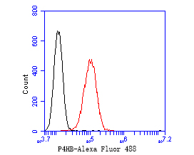 HepG2 cells were fixed,permeabilized and incubated in 5% BSA blocking buffer for 30 min at room temperature. Cells were then stained with P4HB Monoclonal Antibody(bsm-54748R)at 1:50 dilution in blocking buffer and incubated for 30 min at room temperature, washed twice with 2%BSA in PBS, followed by secondary antibody incubation for 40 min at room temperature. Acquisitions of 20,000 events were performed. Cells stained with primary antibody (red).