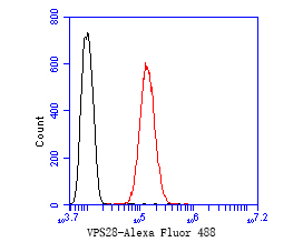 SH-SY5Y cells were fixed,permeabilized and incubated in 5% BSA blocking buffer for 30 min at room temperature. Cells were then stained with VPS28 Monoclonal Antibody(bsm-54750R)at 1:50 dilution in blocking buffer and incubated for 30 min at room temperature, washed twice with 2%BSA in PBS, followed by secondary antibody incubation for 40 min at room temperature. Acquisitions of 20,000 events were performed. Cells stained with primary antibody (red).