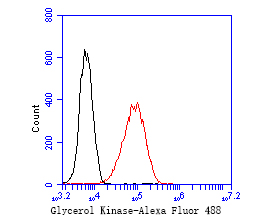 293 cells were fixed,permeabilized and incubated in 5% BSA blocking buffer for 30 min at room temperature. Cells were then stained with Glycerol Kinase Monoclonal Antibody(bsm-54752R)at 1:50 dilution in blocking buffer and incubated for 30 min at room temperature, washed twice with 2%BSA in PBS, followed by secondary antibody incubation for 40 min at room temperature. Acquisitions of 20,000 events were performed. Cells stained with primary antibody (red).