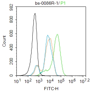 MG63 cells were fixed with 4% PFA for 10min at room temperature,permeabilized with 0.1%PBST for 20 min at room temperature, and incubated in 5% BSA blocking buffer for 30 min at room temperature. Cells were then stained with TGF beta 1 Polyclonal Antibody(bs-0086R)at 1:50 dilution in blocking buffer and incubated for 30 min at room temperature, washed twice with 2%BSA in PBS, followed by secondary antibody incubation for 40 min at room temperature. Acquisitions of 20,000 events were performed. Cells stained with primary antibody (green), and isotype control (orange).