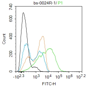 THP-1 cells were incubated in 5% BSA blocking buffer for 30 min at room temperature. Cells were then stained with Presenilin 1 Polyclonal Antibody(bs-0024R)at 1:100 dilution in blocking buffer and incubated for 30 min at room temperature, washed twice with 2%BSA in PBS, followed by secondary antibody incubation for 40 min at room temperature. Acquisitions of 20,000 events were performed. Cells stained with primary antibody (green), and isotype control (orange).