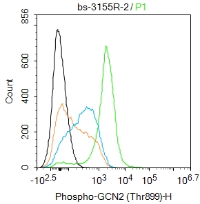 Mouse spleen cells were fixed with 4% PFA for 10min at room temperature,permeabilized with 0.1%PBST for 20 min at room temperature, and incubated in 5% BSA blocking buffer for 30 min at room temperature. Cells were then stained with GCN2 (Thr899) Polyclonal Antibody(bs-3155R)at 1:50 dilution in blocking buffer and incubated for 30 min at room temperature, washed twice with 2%BSA in PBS, followed by secondary antibody incubation for 40 min at room temperature. Acquisitions of 20,000 events were performed. Cells stained with primary antibody (green), and isotype control (orange).