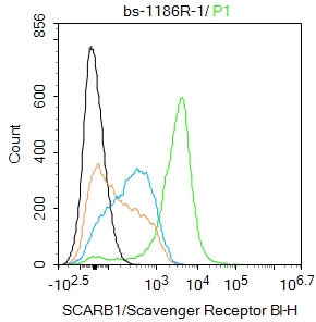 Mouse spleen cells were fixed with 4% PFA for 10min at room temperature,permeabilized with 0.1%PBST for 20 min at room temperature, and incubated in 5% BSA blocking buffer for 30 min at room temperature. Cells were then stained with Scavenger receptor class B member 1 Antibody(bs-1186R)at 1:100 dilution in blocking buffer and incubated for 30 min at room temperature, washed twice with 2%BSA in PBS, followed by secondary antibody incubation for 40 min at room temperature. Acquisitions of 20,000 events were performed. Cells stained with primary antibody (green), and isotype control (orange).