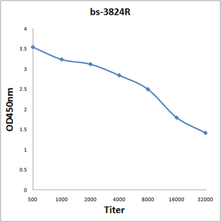 Antigen: bs-3824P, 0.2ug/100ul \nPrimary: Antiserum, 1:500, 1:1000, 1:2000, 1:4000, 1:8000, 1:16000, 1:32000; \nSecondary: HRP conjugated Goat-Anti-Rabbit IgG(bs-0295G-HRP) at 1: 5000;\nTMB staining;\nRead the data in MicroplateReader by 450