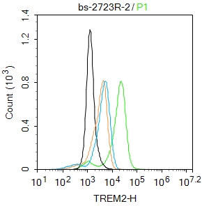 THP-1 cells were fixed with 4% PFA for 10min at room temperature,permeabilized with 0.1%PBST for 20 min at room temperature, and incubated in 5% BSA blocking buffer for 30 min at room temperature. Cells were then stained with TREM2 Polyclonal Antibody(bs-2723R)at 1:50 dilution in blocking buffer and incubated for 30 min at room temperature, washed twice with 2%BSA in PBS, followed by secondary antibody incubation for 40 min at room temperature. Acquisitions of 20,000 events were performed. Cells stained with primary antibody (green), and isotype control (orange).