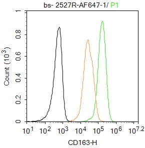 THP-1 cells were fixed with 4% PFA for 10min at room temperature,permeabilized with 0.1%PBST for 20 min at room temperature, and incubated in 5% BSA blocking buffer for 30 min at room temperature. Cells were then stained with CD163/M130 Polyclonal Antibody, ALEXA FLUOR® 647 Conjugated(bs-2527R-AF647)at 1:100 dilution in blocking buffer and incubated for 30 min at room temperature, washed twice with 2%BSA in PBS. Acquisitions of 20,000 events were performed. Cells stained with primary antibody (green), and isotype control (orange).