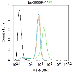 THP-1 cells were fixed with 4% PFA for 10min at room temperature,permeabilized with 0.1%PBST for 20 min at room temperature, and incubated in 5% BSA blocking buffer for 30 min at room temperature. Cells were then stained with MT-ND6 Polyclonal Antibody(bs-3955R)at 1:100 dilution in blocking buffer and incubated for 30 min at room temperature, washed twice with 2%BSA in PBS, followed by secondary antibody incubation for 40 min at room temperature. Acquisitions of 20,000 events were performed. Cells stained with primary antibody (green), and isotype control (orange).