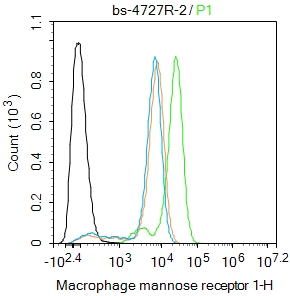 THP-1 cells were fixed with 4% PFA for 10min at room temperature,permeabilized with 0.1%PBST for 20 min at room temperature, and incubated in 5% BSA blocking buffer for 30 min at room temperature. Cells were then stained with MRC1 Polyclonal Antibody(bs-4727R)at 1:50 dilution in blocking buffer and incubated for 30 min at room temperature, washed twice with 2%BSA in PBS, followed by secondary antibody incubation for 40 min at room temperature. Acquisitions of 20,000 events were performed. Cells stained with primary antibody (green), and isotype control (orange).