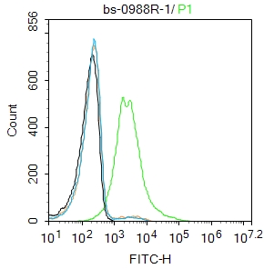 K562 cells were incubated in 5% BSA blocking buffer for 30 min at room temperature. Cells were then stained with Transferrin receptor Polyclonal Antibody(bs-0988R)at 1:100 dilution in blocking buffer and incubated for 30 min at room temperature, washed twice with 2%BSA in PBS, followed by secondary antibody incubation for 40 min at room temperature. Acquisitions of 20,000 events were performed. Cells stained with primary antibody (green), and isotype control (orange).