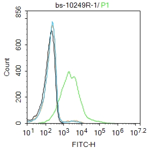 K562 cells were incubated in 5% BSA blocking buffer for 30 min at room temperature. Cells were then stained with MCT1 Polyclonal Antibody(bs-10249R)at 1:100 dilution in blocking buffer and incubated for 30 min at room temperature, washed twice with 2%BSA in PBS, followed by secondary antibody incubation for 40 min at room temperature. Acquisitions of 20,000 events were performed. Cells stained with primary antibody (green), and isotype control (orange).