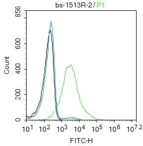 K562 cells were incubated in 5% BSA blocking buffer for 30 min at room temperature. Cells were then stained with EpCAM\/CD326 Polyclonal  Antibody(bs-1513R)at 1:50 dilution in blocking buffer and incubated for 30 min at room temperature, washed twice with 2%BSA in PBS, followed by secondary antibody incubation for 40 min at room temperature. Acquisitions of 20,000 events were performed. Cells stained with primary antibody (green), and isotype control (orange).
