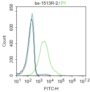 K562 cells were incubated in 5% BSA blocking buffer for 30 min at room temperature. Cells were then stained with EpCAM/CD326 Polyclonal Antibody(bs-1513R)at 1:50 dilution in blocking buffer and incubated for 30 min at room temperature, washed twice with 2%BSA in PBS, followed by secondary antibody incubation for 40 min at room temperature. Acquisitions of 20,000 events were performed. Cells stained with primary antibody (green), and isotype control (orange).