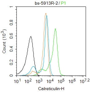 K562 cells were fixed with 4% PFA for 10min at room temperature,permeabilized with 0.01%PBST for 20 min at room temperature, and incubated in 5% BSA blocking buffer for 30 min at room temperature. Cells were then stained with _x000D_ Calreticulin Polyclonal Antibody(bs-5913R)at 1:50 dilution in blocking buffer and incubated for 30 min at room temperature, washed twice with 2%BSA in PBS, followed by secondary antibody incubation for 40 min at room temperature. Acquisitions of 20,000 events were performed. Cells stained with primary antibody (green), and isotype control (orange).