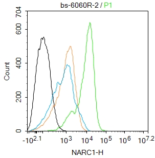 K562 cells were fixed with 4% PFA for 10min at room temperature,permeabilized with for 20 min at room temperature, and incubated in 5% BSA blocking buffer for 30 min at room temperature. Cells were then stained with NARC1 Polyclonal Antibody(bs-6060R)at 1:50 dilution in blocking buffer and incubated for 30 min at room temperature, washed twice with 2%BSA in PBS, followed by secondary antibody incubation for 40 min at room temperature. Acquisitions of 20,000 events were performed. Cells stained with primary antibody (green), and isotype control (orange).