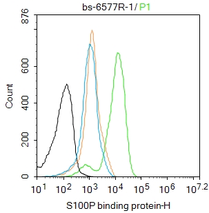 K562 cells were fixed with 4% PFA for 10min at room temperature,permeabilized with 0.1% ice-cold methanol for 20 min at room temperature, and incubated in 5% BSA blocking buffer for 30 min at room temperature. Cells were then stained with S100P binding protein Antibody(bs-6577R)at 1:100 dilution in blocking buffer and incubated for 30 min at room temperature, washed twice with 2%BSA in PBS, followed by secondary antibody incubation for 40 min at room temperature. Acquisitions of 20,000 events were performed. Cells stained with primary antibody (green), and isotype control (orange). K562 cells were fixed with 4% PFA for 10min at room temperature,permeabilized with 0.1% ice-cold methanol for 20 min at room temperature, and incubated in 5% BSA blocking buffer for 30 min at room temperature. Cells were then stained with S100P binding protein Antibody(bs-6577R)at 1:100 dilution in blocking buffer and incubated for 30 min at room temperature, washed twice with 2%BSA in PBS, followed by secondary antibody incubation for 40 min at room temperature. Acquisitions of 20,000 events were performed. Cells stained with primary antibody (green), and isotype control (orange).