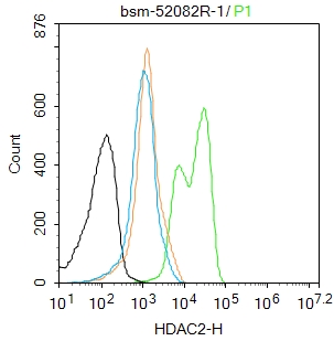 K562 cells were fixed with 4% PFA for 10min at room temperature,permeabilized with 0.1% ice-cold methanol for 20 min at room temperature, and incubated in 5% BSA blocking buffer for 30 min at room temperature. Cells were then stained with HDAC2 (3B7) Monoclonal Antibody(bs-52082R)at 1:100 dilution in blocking buffer and incubated for 30 min at room temperature, washed twice with 2%BSA in PBS, followed by secondary antibody incubation for 40 min at room temperature. Acquisitions of 20,000 events were performed. Cells stained with primary antibody (green), and isotype control (orange).