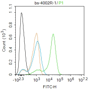 U-937 cells were fixed with 4% PFA for 10min at room temperature,permeabilized with 0.1% PBST for 20 min at room temperature, and incubated in 5% BSA blocking buffer for 30 min at room temperature. Cells were then stained with AMPK alpha-1/2 (Thr183/Thr172) Antibody(bs-4002R)at 1:100 dilution in blocking buffer and incubated for 30 min at room temperature, washed twice with 2%BSA in PBS, followed by secondary antibody incubation for 40 min at room temperature. Acquisitions of 20,000 events were performed. Cells stained with primary antibody (green), and isotype control (orange).