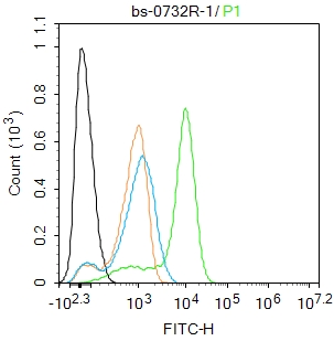 U-937 cells were fixed with 4% PFA for 10min at room temperature,permeabilized with 0.1% PBST for 20 min at room temperature, and incubated in 5% BSA blocking buffer for 30 min at room temperature. Cells were then stained with Cyclooxygenase 2 Polyclonal Antibody(bs-0732R)at 1:100 dilution in blocking buffer and incubated for 30 min at room temperature, washed twice with 2%BSA in PBS, followed by secondary antibody incubation for 40 min at room temperature. Acquisitions of 20,000 events were performed. Cells stained with primary antibody (green), and isotype control (orange).\r\n