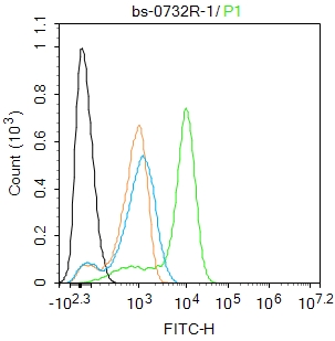 U-937 cells were fixed with 4% PFA for 10min at room temperature,permeabilized with 0.1% PBST for 20 min at room temperature, and incubated in 5% BSA blocking buffer for 30 min at room temperature. Cells were then stained with Cyclooxygenase 2 Polyclonal Antibody(bs-0732R)at 1:100 dilution in blocking buffer and incubated for 30 min at room temperature, washed twice with 2%BSA in PBS, followed by secondary antibody incubation for 40 min at room temperature. Acquisitions of 20,000 events were performed. Cells stained with primary antibody (green), and isotype control (orange)._x000D_