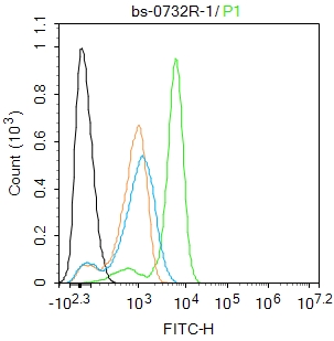 U-937 cells were fixed with 4% PFA for 10min at room temperature,permeabilized with 0.1% PBST for 20 min at room temperature, and incubated in 5% BSA blocking buffer for 30 min at room temperature. Cells were then stained with Cyclooxygenase 2 Polyclonal Antibody(bs-0732R)at 1:100 dilution in blocking buffer and incubated for 30 min at room temperature, washed twice with 2%BSA in PBS, followed by secondary antibody incubation for 40 min at room temperature. Acquisitions of 20,000 events were performed. Cells stained with primary antibody (green), and isotype control (orange).