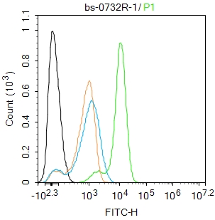 U-937 cells were fixed with 4% PFA for 10min at room temperature,permeabilized with 0.1% PBST for 20 min at room temperature, and incubated in 5% BSA blocking buffer for 30 min at room temperature. Cells were then stained with Cyclooxygenase 2 Polyclonal Antibody(bs-0732R)at 1:100 dilution in blocking buffer and incubated for 30 min at room temperature, washed twice with 2%BSA in PBS, followed by secondary antibody incubation for 40 min at room temperature. Acquisitions of 20,000 events were performed. Cells stained with primary antibody (green), and isotype control (orange).