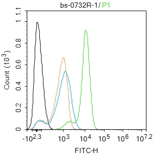 U-937 cells were fixed with 4% PFA for 10min at room temperature,permeabilized with 0.1% PBST for 20 min at room temperature, and incubated in 5% BSA blocking buffer for 30 min at room temperature. Cells were then stained with Cyclooxygenase 2 Polyclonal Antibody(bs-0732R)at 1:100 dilution in blocking buffer and incubated for 30 min at room temperature, washed twice with 2%BSA in PBS, followed by secondary antibody incubation for 40 min at room temperature. Acquisitions of 20,000 events were performed. Cells stained with primary antibody (green), and isotype control (orange).
