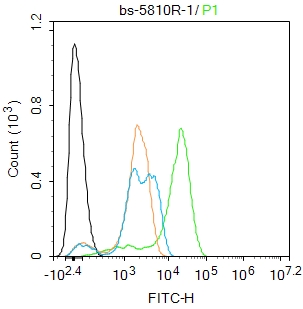 U-937 cells were fixed with 4% PFA for 10min at room temperature,permeabilized with PBST for 20 min at room temperature, and incubated in 5% BSA blocking buffer for 30 min at room temperature. Cells were then stained with Lactoferrin Polyclonal Antibody(bs-5810R)at 1:100 dilution in blocking buffer and incubated for 30 min at room temperature, washed twice with 2%BSA in PBS, followed by secondary antibody incubation for 40 min at room temperature. Acquisitions of 20,000 events were performed. Cells stained with primary antibody (green), and isotype control (orange).