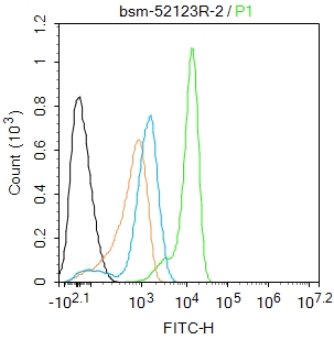 U-937 cells were fixed with 4% PFA for 10min at room temperature,permeabilized with 90% ice-cold methanol for 20 min at room temperature, and incubated in 5% BSA blocking buffer for 30 min at room temperature. Cells were then stained with MSK1 (Ser376) (11A1) Monoclonal Antibody(bs-52123R)at 1:50 dilution in blocking buffer and incubated for 30 min at room temperature, washed twice with 2%BSA in PBS, followed by secondary antibody incubation for 40 min at room temperature. Acquisitions of 20,000 events were performed. Cells stained with primary antibody (green), and isotype control (orange).