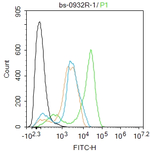 THP-1 cells were fixed with 4% PFA for 10min at room temperature,permeabilized with 90% ice-cold methanol for 20 min at room temperature, and incubated in 5% BSA blocking buffer for 30 min at room temperature. Cells were then stained with WDR26 Polyclonal Antibody(bs-0932R)at 1:100 dilution in blocking buffer and incubated for 30 min at room temperature, washed twice with 2%BSA in PBS, followed by secondary antibody incubation for 40 min at room temperature. Acquisitions of 20,000 events were performed. Cells stained with primary antibody (green), and isotype control (orange).