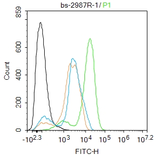 THP-1 cells were fixed with 4% PFA for 10min at room temperature,permeabilized with 90% ice-cold methanol for 20 min at room temperature, and incubated in 5% BSA blocking buffer for 30 min at room temperature. Cells were then stained with Vitamin D Receptor/VDR Antibody(bs-2987R)at 1:100 dilution in blocking buffer and incubated for 30 min at room temperature, washed twice with 2%BSA in PBS, followed by secondary antibody incubation for 40 min at room temperature. Acquisitions of 20,000 events were performed. Cells stained with primary antibody (green), and isotype control (orange).