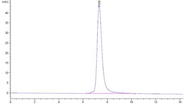 The purity of SARS-CoV-2 protein RBD is greater than 95% as determined by SEC-HPLC.