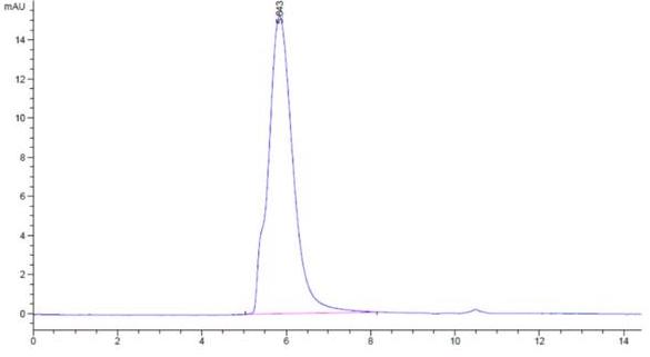 The purity of SARS-CoV-2 Spikee S1 is greater than 95% as determined by SEC-HPLC.