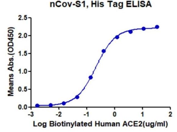 Immobilized nCOV S1 at 0.5ug/ml(100ul/Well). Dose response curve for Biotinylated Human ACE2 with the EC50 of 0.2ug/ml determined by ELISA.