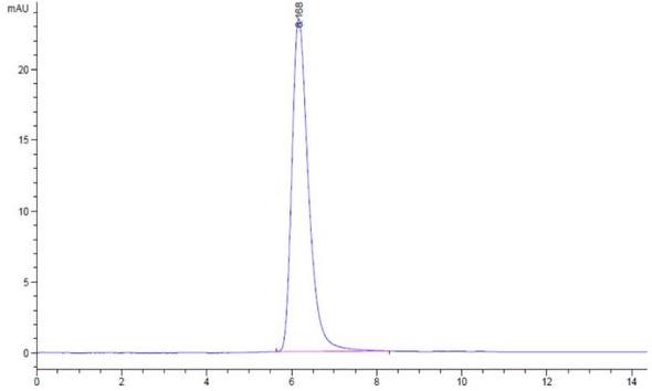 The purity of SARS-CoV-2 S protein RBD is greater than 95% as determined by SEC-HPLC.